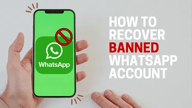 8 reasons why your WhatsApp account is blocked